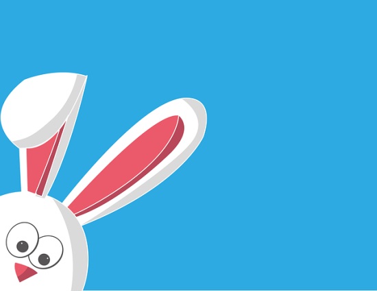 “知小谋大”猜一生肖,解答释义词语落实
