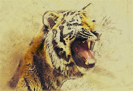 “古肥今瘠”是什么生肖解打猜一最佳生肖，谜底释义全面解答